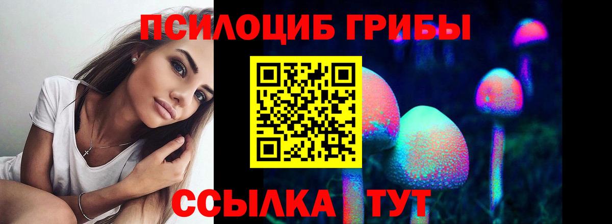 Галлюциногенные грибы Psilocybe  Вход с VPN  Новошахтинск 